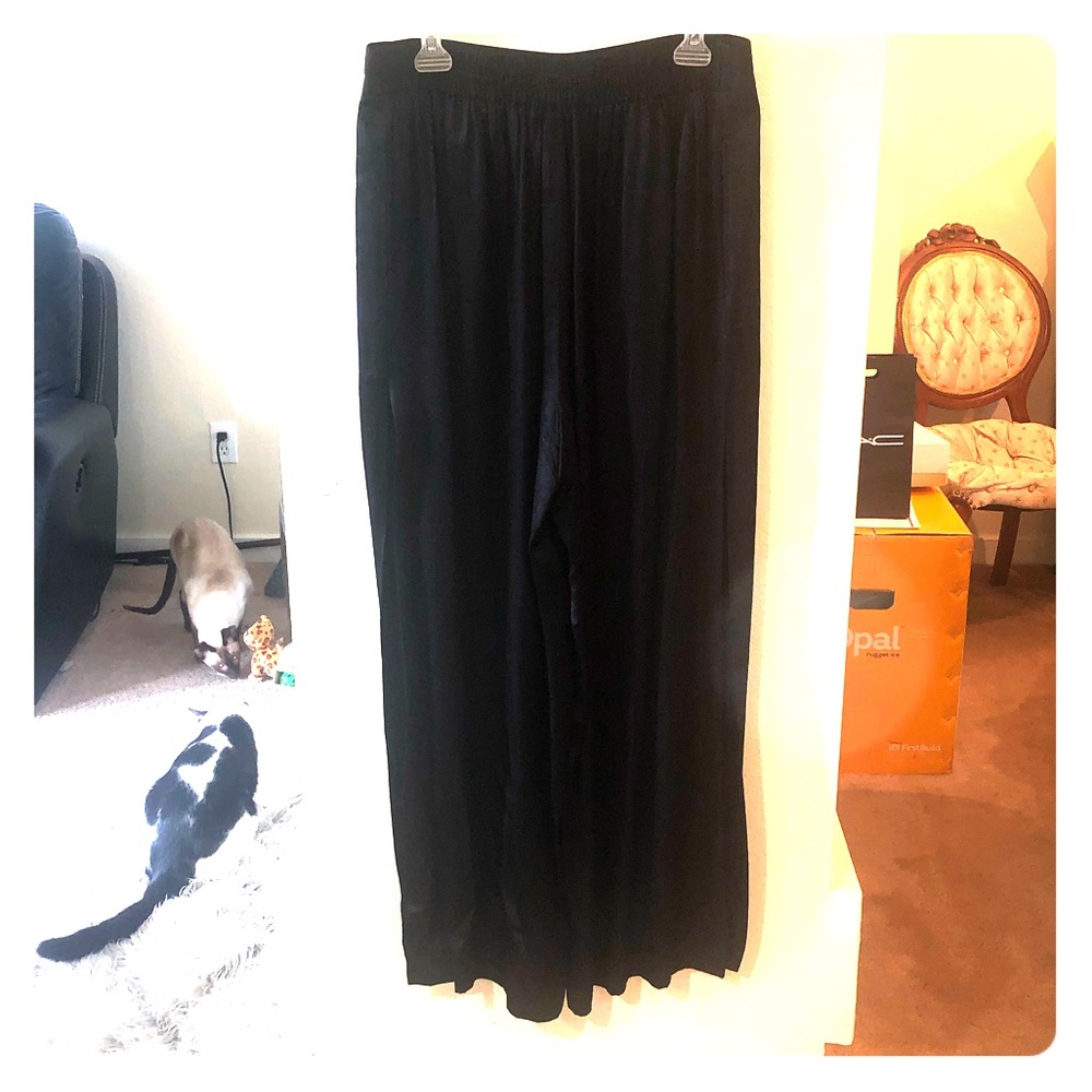 Express-Satin Wide Leg High Rise extra long pants
